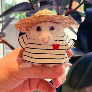 Meet your Posher, Miranda